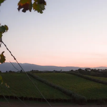 Magnificat Hotel&resort 3* Canosa Sannita