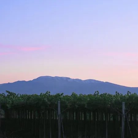 Hotel Magnificat Hotel&resort