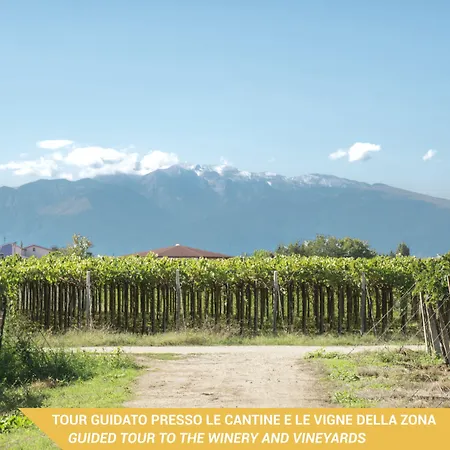 Magnificat Hotel&resort 3*