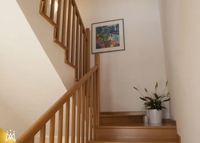 酒店 马尼菲卡特酒店 3*