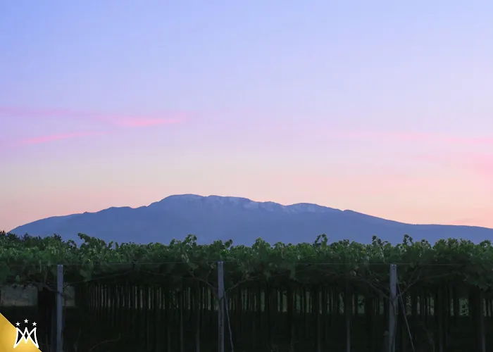 Hotel Magnificat Hotel&resort