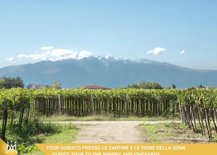 Magnificat Hotel&resort 3*