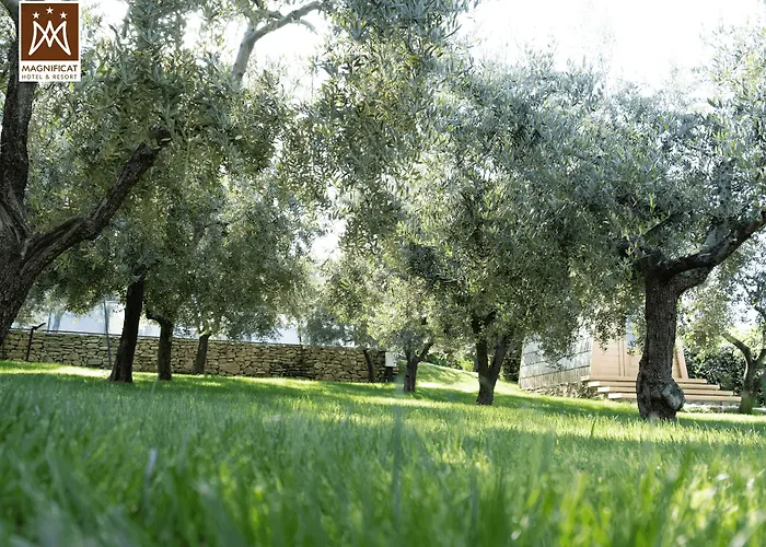 Magnificat Hotel&resort Hotel